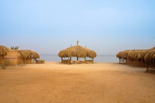 Hotel Ashry Oasis