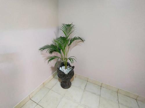 Apartamento La Mana Manssionettes