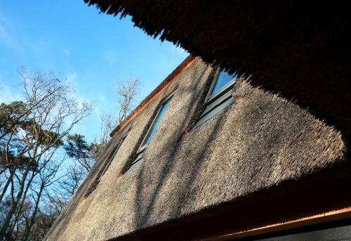 Hostal Loft 49