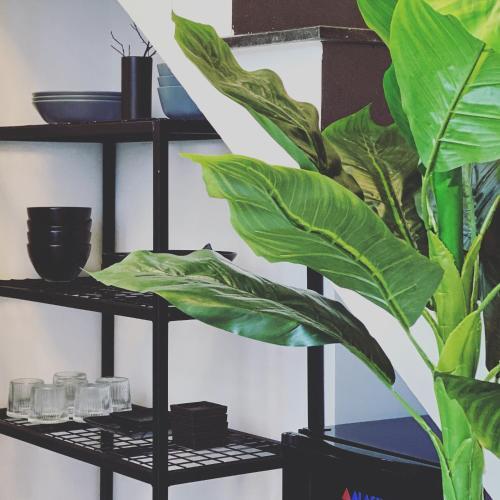 Apartamento Lily House( Mini Home 2pn)