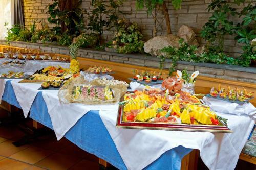 Hotel Chalet Olympia