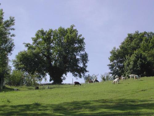 Agroturismo Agriturismo Casa Rosa