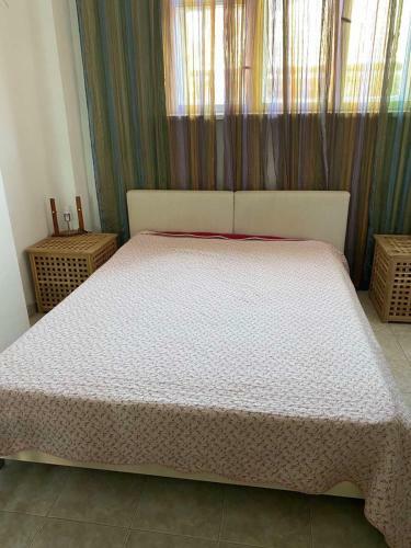Central Apartment