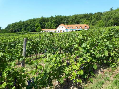 Agroturismo Historick� Statek Kojetice Na Morav?