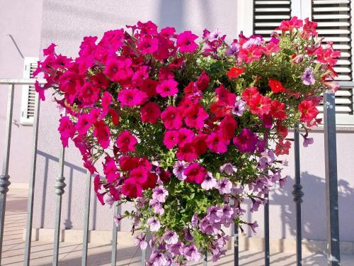 Apartamento Villa Sommerzauber