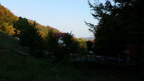 Lodge Pensiunea Vila Cerbul