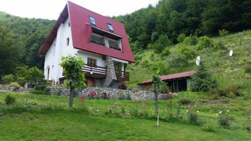 Lodge Pensiunea Vila Cerbul