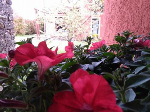 B&B Terre Di Bea