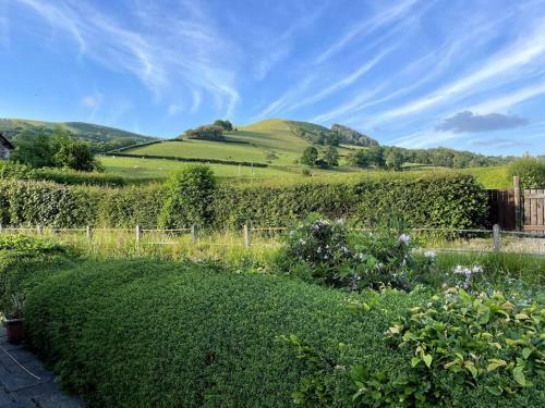 Y Felin Bed And Breakfast And Smallholding
