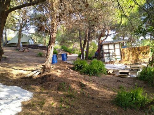 Zelt 1 Camp West