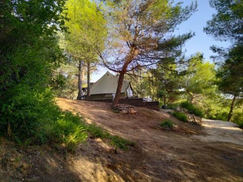 Zelt 5 Camp West