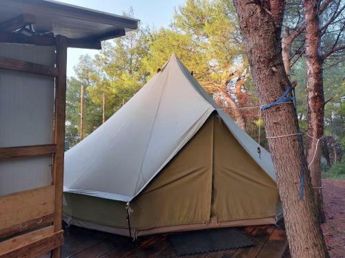Zelt 2 Camp West