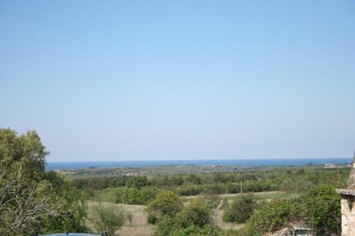 Studio Apartment Cupilia
