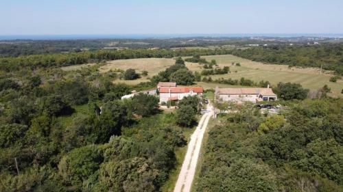 Studio Apartment Cupilia