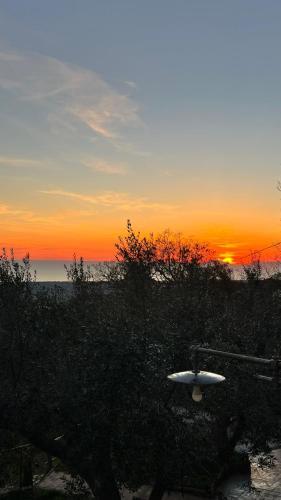 Bed & Breakfast Casatommasini