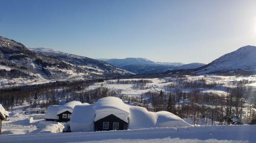 Villa Mlodge - The Mountain Lodge