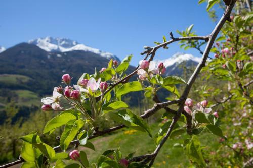 Apartamento Garni Appartements Feldhof
