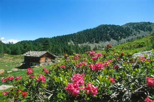 Apartamento Garni Appartements Feldhof