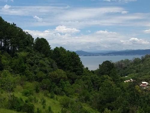A Certeza De Estar Em Uma Ilha