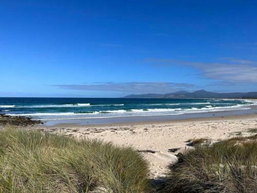 Paddy's Shack-the Ultimate Tassie Shack Experience