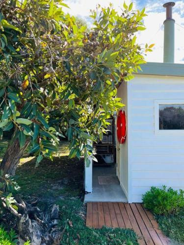 Paddy's Shack-the Ultimate Tassie Shack Experience