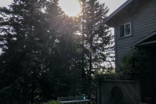 Lost Coast Hideaway