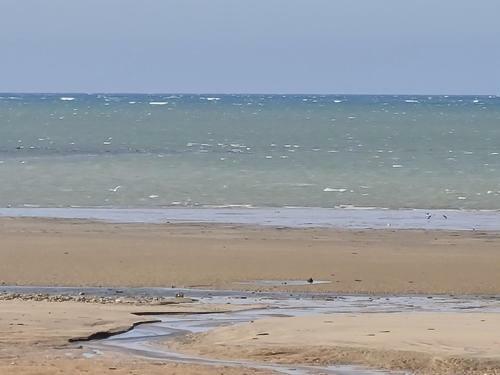 Apartamento Les Pieds Dans L'eau