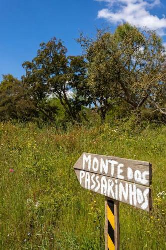 Monte Dos Passarinhos