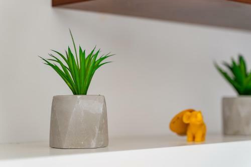 Apartamento Daisy