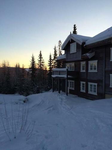 Apartamento Flat In Trysil Ski In Ski Out And Sauna