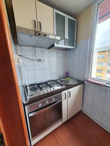 Exclusive Apartments Suceava