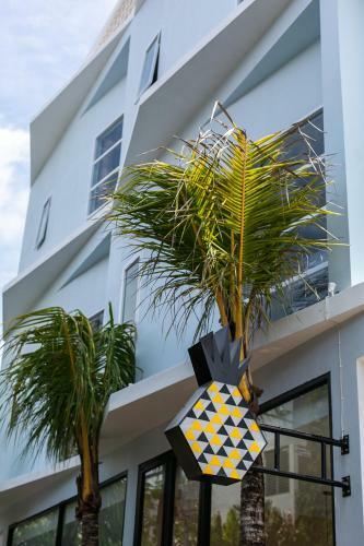 Coco & Pineapple Pants Hostel - Canggu, Bali