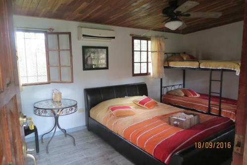 Bed & Breakfast Monkey Lodge Panama