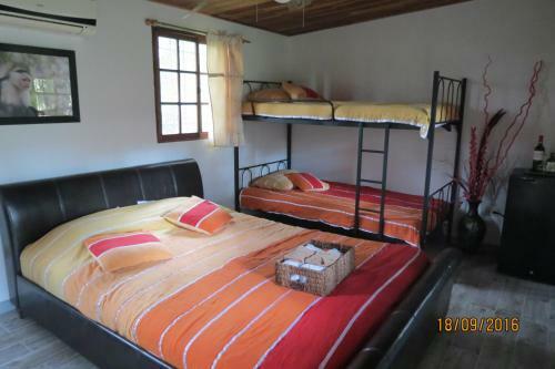Bed & Breakfast Monkey Lodge Panama