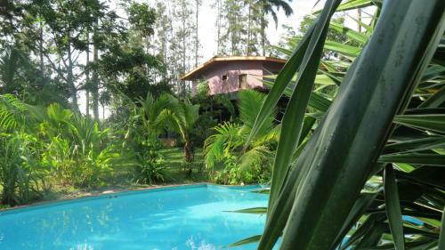 Bed & Breakfast Monkey Lodge Panama