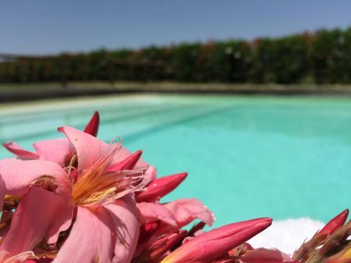 Agroturismo Casale Il Poggetto