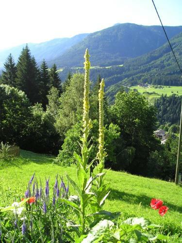 Hostal Alpenhof Strenge