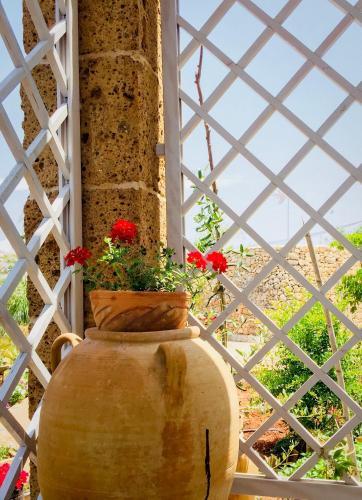 B&B Corallo