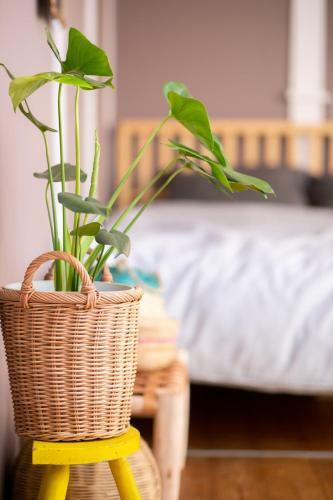 Bonjour Maison - Vacation Stay 39626v