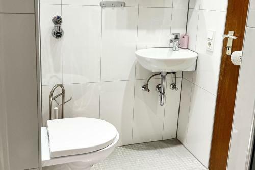 1 Room Apartment