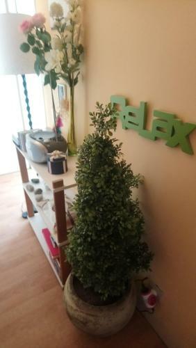 Apartamento Calme Et Cosy