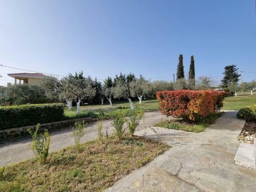 Villa Alivia Garden