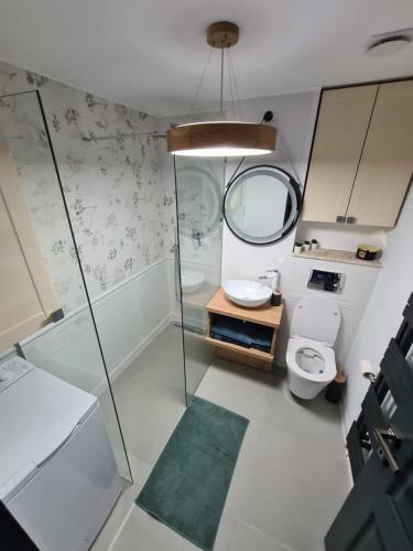 Central Apartment