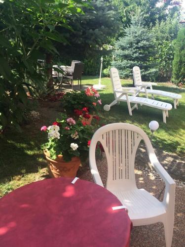 Apartman Bal�zs