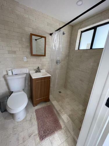 Completely Renovated 1 Studio Apartment Sleep 4
