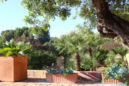Casa Llorens
