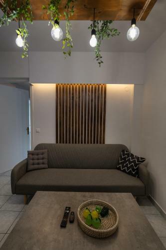 Apartamento Camo?s House