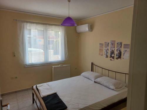 Apartamento Treasure Star B&B