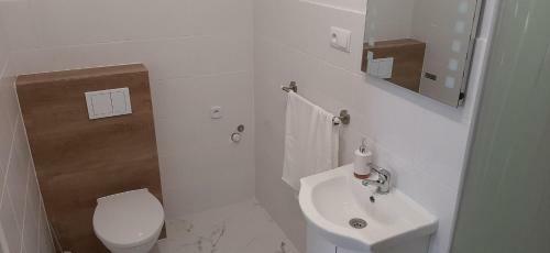 Apartament Dolny Zau?ek