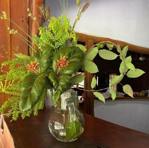 Agroturismo Alma D� �gua